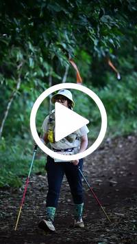 BIB:  <button type="button" onclick="openModal(27539618)" class="btn btn-primary btn-sm float-right" data-toggle="modal" data-target=".modal-high-quality">
                <i class="fa fa-download"></i> Download
                </button>